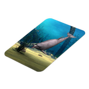 Ímã Golfinho