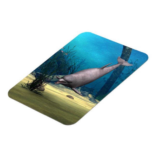 Ímã Golfinho (Left Side)