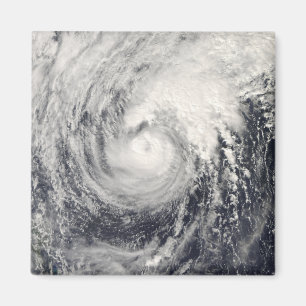 Imã Golfinho do tufão no mar filipino