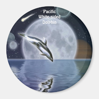 Imã GOLFINHO, LUA E PLANETAS Fantasia Magneta