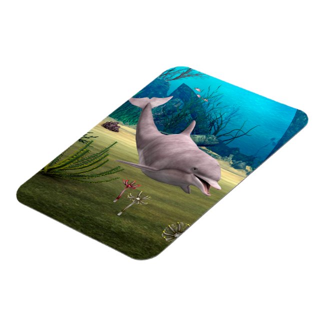 Ímã Golfinho sorridente (Left Side)