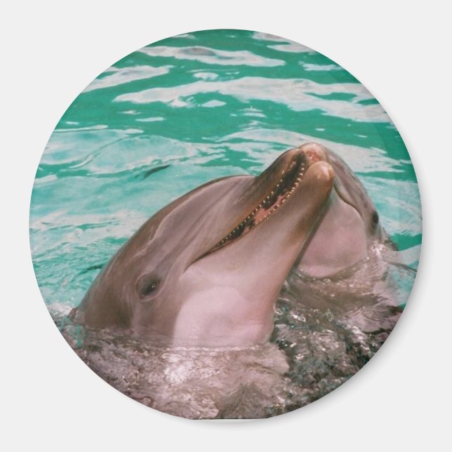 Imã Golfinhos (Frente)