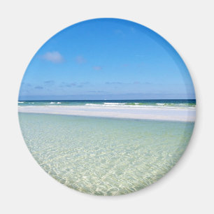 Imã Golfo do México bonito