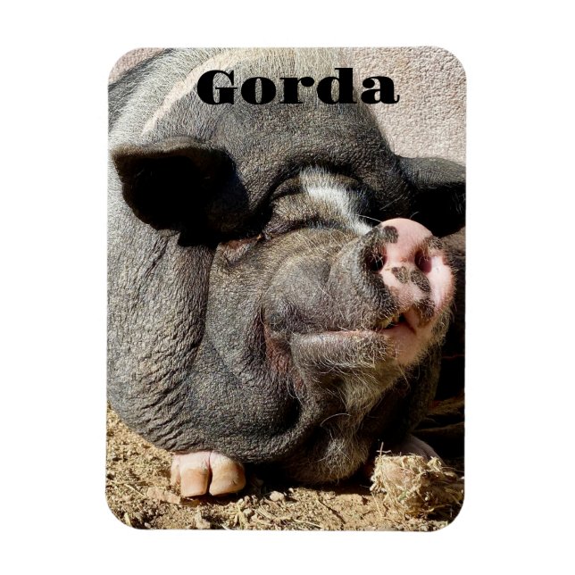 Ímã Gorda Magnet (Vertical)