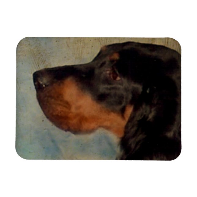 Ímã Gordon Setter Magnet (Horizontal)