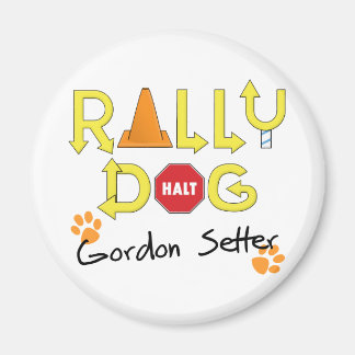 Imã Gordon Setter Rally Dog