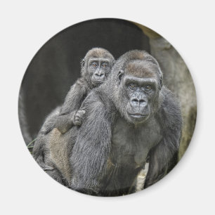 Imã Gorila & ímã do bebê