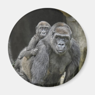 Imã Gorilla & Baby Magnet