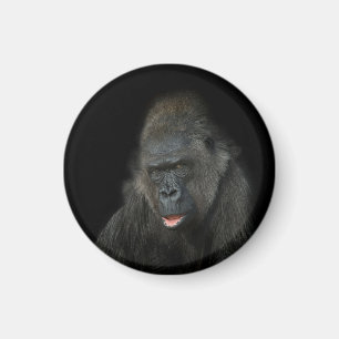 Imã Gorilla Biddy