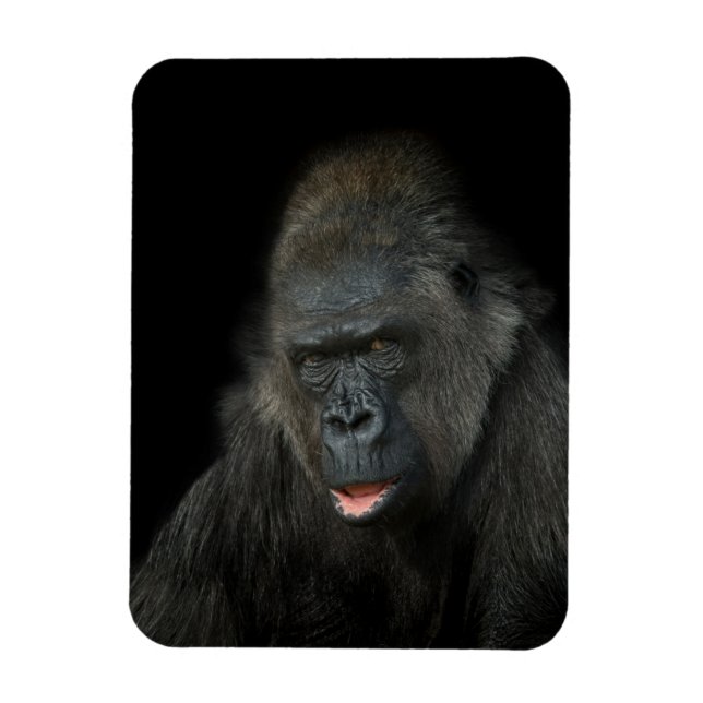 Ímã Gorilla Biddy (Vertical)
