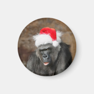 Imã Gorilla Biddy em um Chapéu Festivo de Natal
