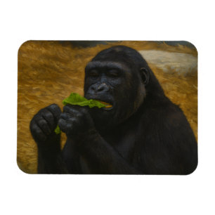 Ímã Gorilla Grace - Retrato Realista da Vida Selvagem