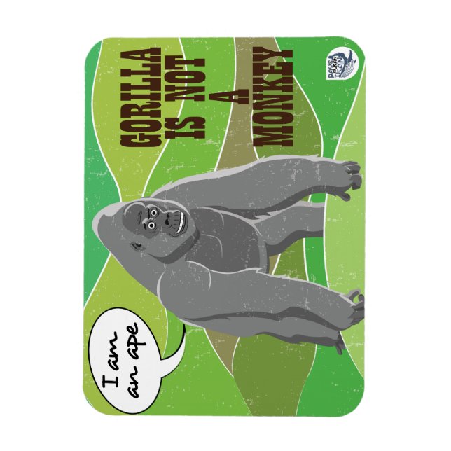Ímã Gorilla não é um macaco (Vertical)