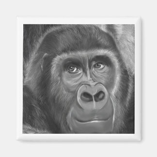 Imã Gorilla sucking fingers Magnet2指しゃぶりのゴリラマグネット