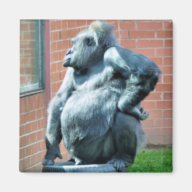 IMÃ GORILLAS (Frente)