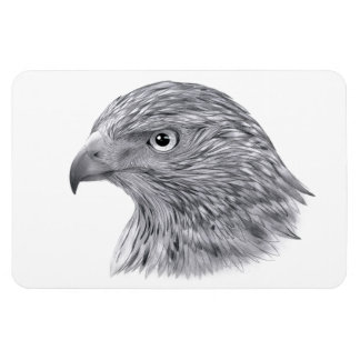 Ímã Goshawk - Magnet flexível