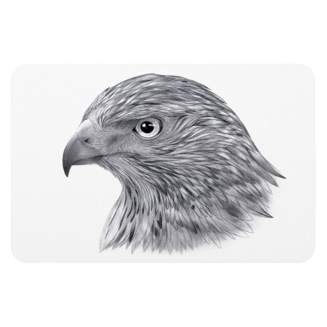 Ímã Goshawk - Magnet flexível (Horizontal)