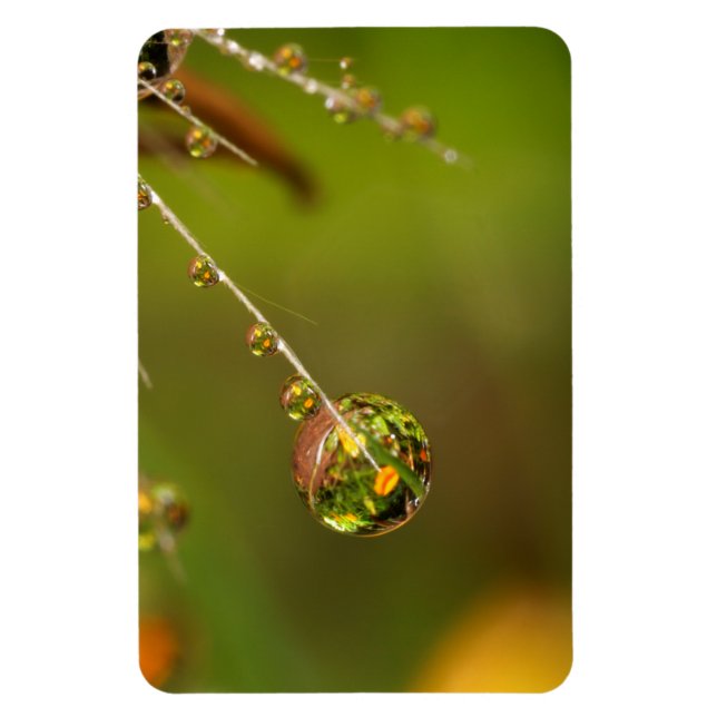 Ímã Gota de Água Fechar (Vertical)