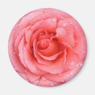 Imã Gotas de Água de Rosa Rosa Vermelha Romântica