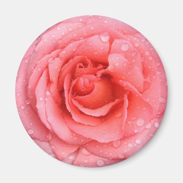 Imã Gotas de Água de Rosa Vermelha Romântica (Frente)