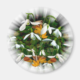 Imã Gotas de neve de Primavera branco bonito