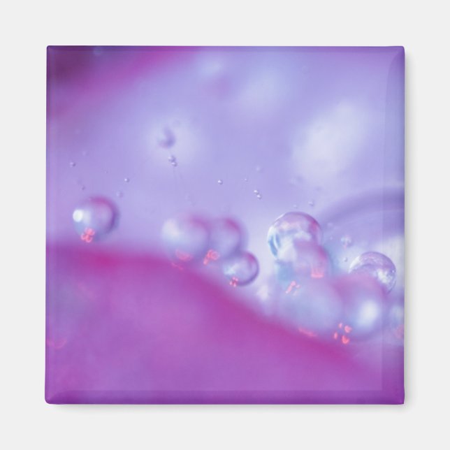 Imã Gotas de orvalho em pétala de flor abstrata. Crédi (Frente)