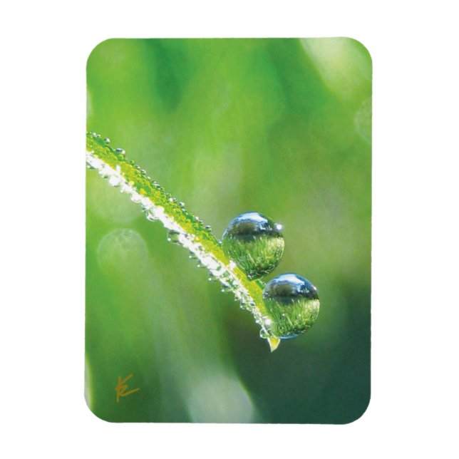 Ímã Gotas de Orvalho na Grama Verde Natureza Pacífica (Vertical)