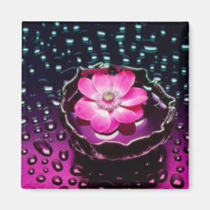 Imã Gotas florais