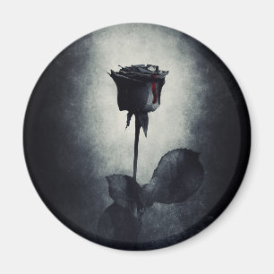 Imã Gótico Rosa preto derramando sangue no verdugo pr
