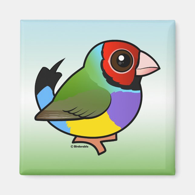 Imã Gouldian Finch (Frente)