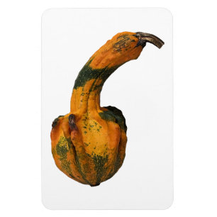 Ímã Gourd Foto Magnet