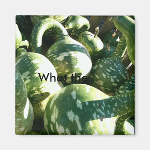 Imã Gourds/engraçados que… o ímã das citações