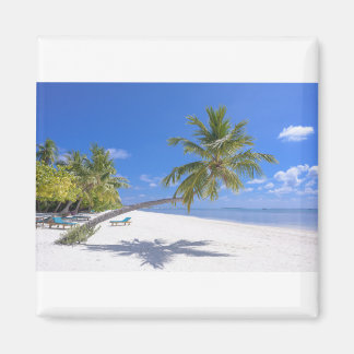 Imã Grace Bay, Turks e Caicos Areia e Ondas Azuis do O