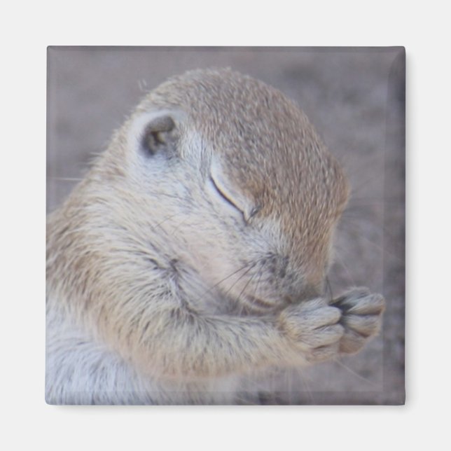 Imã Grace Magnet (Frente)