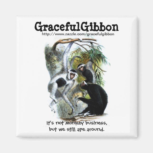 Imã Graceful Gibbon Magnet (Frente)