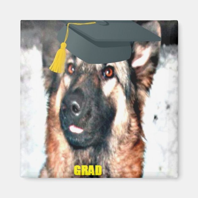 Imã Graduado Pastor Alemão Magnet (Frente)
