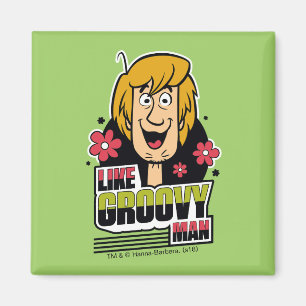 Imã Gráfico de "Igual ao Homem de Groovy"