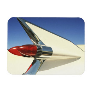 Ímã Gráfico: Fecho da barbatana e luz de cauda acesa