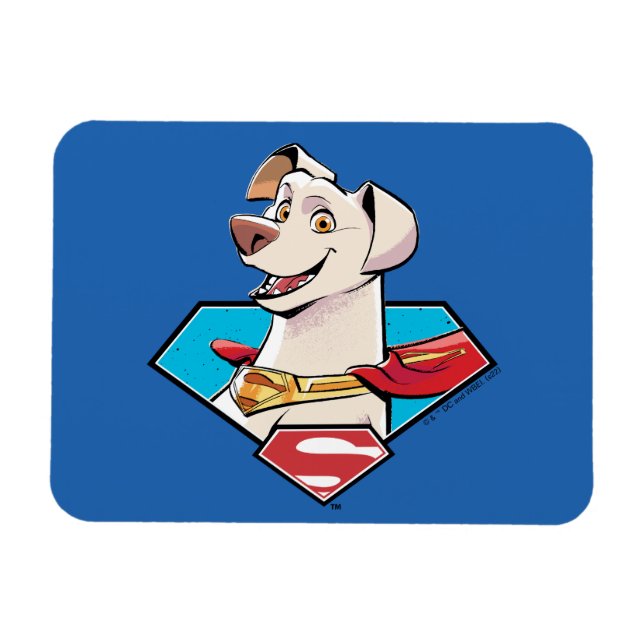 Ímã Gráfico Krypto S-Shield (Horizontal)