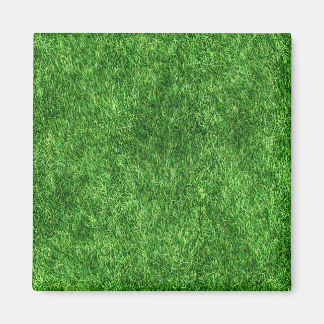 Imã Grama Verde (Frente)