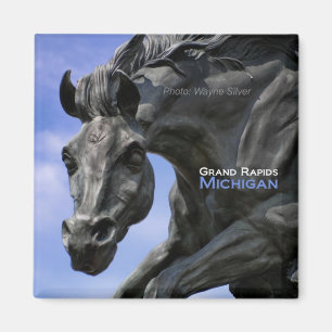 Imã Grand Rapids Michigan Magnet Viagem Souvenir