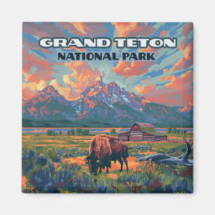 Imã Grand Teton National Park Mounties Bison Wyoming
