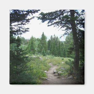 Imã Grand Teton Trail