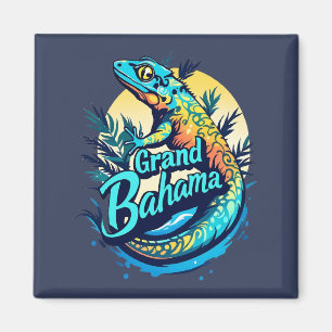 Imã Grande Bahama Caribe Gecko