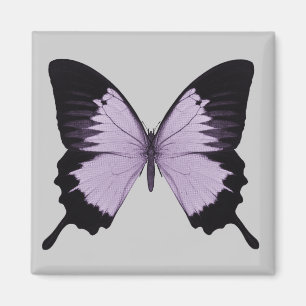 Imã Grande Borboleta Roxa e Preta