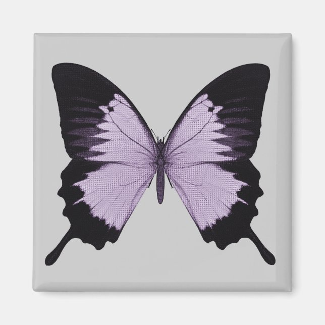 Imã Grande Borboleta Roxa e Preta (Frente)
