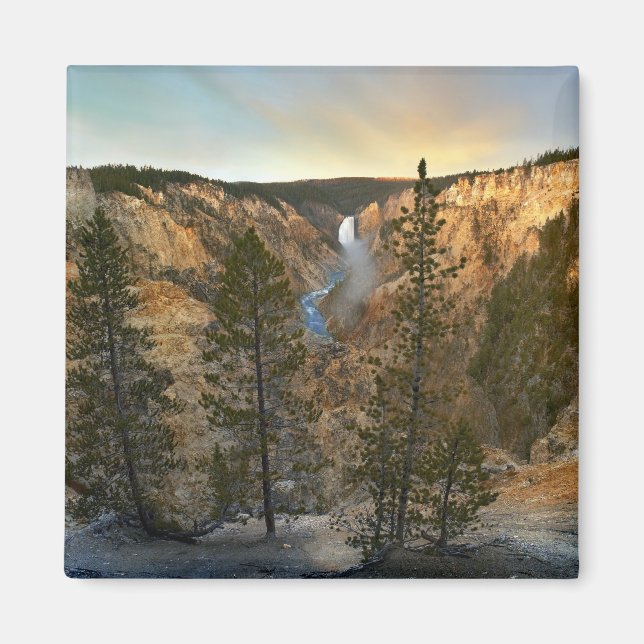 Imã Grande Canyon do Yellowstone, Yellowstone (Frente)