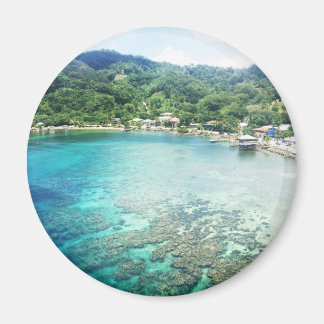 Imã Grande Cayman Coral Reef