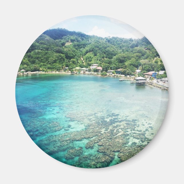 Imã Grande Cayman Coral Reef (Frente)