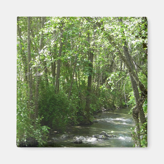 Imã Grande Creek no Verão..... (Frente)